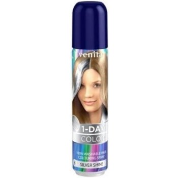 1-day Color barevný spray na vlasy stříbrná 50 ml
