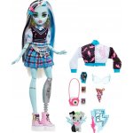 Mattel MONSTER HIGH FRANKIE STEIN – Zboží Mobilmania