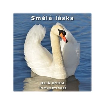 Smělá láska