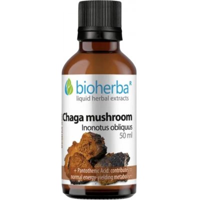 Bioherba Čaga Tinktura Kvapky 50 ml – Hledejceny.cz