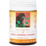 TCM Herbs Hříva černého vraníka 100 tablet – Hledejceny.cz