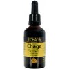 Doplněk stravy na imunitu Richaga Chaga sibiřská inonotus obliquus extract 30 ml