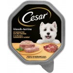 Cesar Terrine s drůbežím a hovězím 14 x 150 g – Zboží Mobilmania