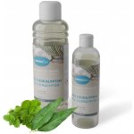 CamenaSpa saunová esence mentol s eukalyptem 250 ml – Hledejceny.cz