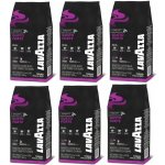 Lavazza Expert Gusto Forte 6 x 1 kg – Zbozi.Blesk.cz