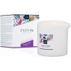 Erotická kosmetika ExotiQ Massage Candle Violet Rose 200g