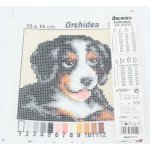 Předloha vyšívací 15x15cm Štěně bernský salaš. – Hledejceny.cz