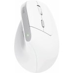 Trust Bayo II Ergonomic Mouse 25145 – Zboží Živě
