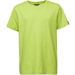 Lewro BRIS Chlapecké triko světle zelená – Zboží Mobilmania