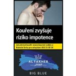 Al Fakher Big Blue 50 g – Zboží Mobilmania