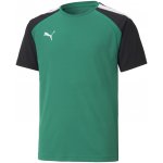 Puma team Rise Team t-shirt 704932 18