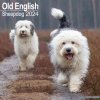 Kalendář Old English Sheepdog Bobtails 16-Monats 2024