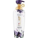 Daeng Gi Meo Ri Vitalizující kondicionér Vitalizing Treatment 500 ml – Zboží Mobilmania