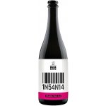 Duck&Dog INSANIA PALE ALE 13 5,5 % 0,7 l (sklo) – Hledejceny.cz