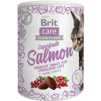 Brit Care Cat Snack Superfruits Salmon 100 g – Zboží Mobilmania
