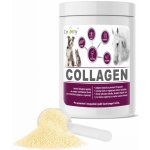 Dromy Collagen 2500 g – Hledejceny.cz