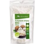 ZdravýDen Kokosové chipsy Bio 300 g – Zboží Mobilmania