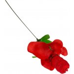 Out Of The Blue Rose With Red G-String – Zboží Dáma