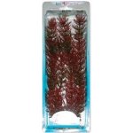 Tetra rostlina Red Foxtail Plus 30 cm – Zboží Mobilmania