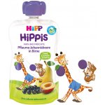 HiPP Bio iS Hruška černý rybíz švestka 100 g – Hledejceny.cz