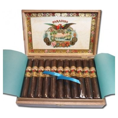 Ashton Cigars Paradiso Clásico 21 ks – Hledejceny.cz