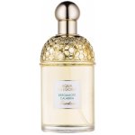 Guerlain Aqua Allegoria Bergamote Calabria toaletní voda dámská 125 ml tester – Hledejceny.cz