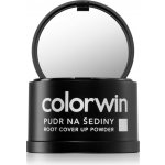 Colorwin pudr na šediny plavý 3,2 g – Zboží Dáma