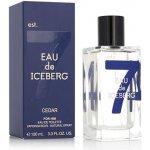 Iceberg Eau de Iceberg Cedar toaletní voda pánská 100 ml – Hledejceny.cz