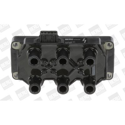 Zapalovací cívka BorgWarner (BERU) ZS301 – Hledejceny.cz