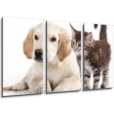 Obraz 3D třídílný - 90 x 50 cm - Cat and dog Kočka a pes – Zboží Mobilmania