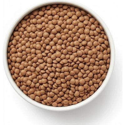 Les Fruits du Paradis Čočka hnědá Bio 0,5 kg – Zboží Dáma