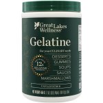 Great Lakes Želatina 454 g – Hledejceny.cz
