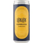 Loklok kombucha Yerba maté 330 ml – Hledejceny.cz
