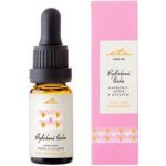 Eta Aroma esenciální olej Bylinková láska 10 ml – Hledejceny.cz