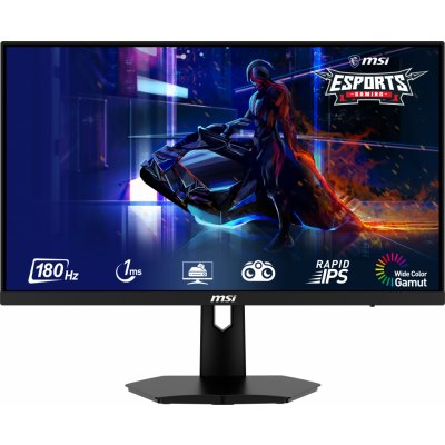 MSI G244F E2 – Zboží Živě
