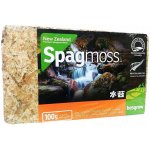 BESGROW Novozélandský mech Sphagnum 100g – Hledejceny.cz