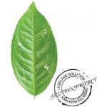 LEBELAGE Green Tea Solution Mask Pack Zklidňující plátýnková maska se zeleným čajem 25 g – Zboží Dáma