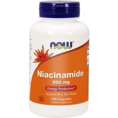 Now Foods Niacin Niacinamide 500 mg 100 kapslí – Hledejceny.cz