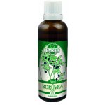 Naděje Borůvka černá tinktura z pupenů rostlin 50 ml – Hledejceny.cz