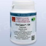 Giovanni Maciocia T24 Čistý lesk Clear Lustre pian/tablety – Hledejceny.cz