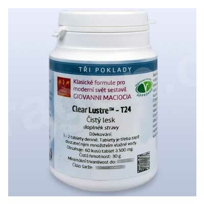 Giovanni Maciocia T24 Čistý lesk Clear Lustre pian/tablety – Hledejceny.cz