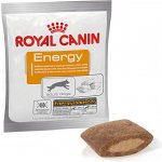 Royal Canin Energy 50 g – Hledejceny.cz