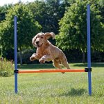 Trixie Agility překážka 123 x 115 cm – Hledejceny.cz