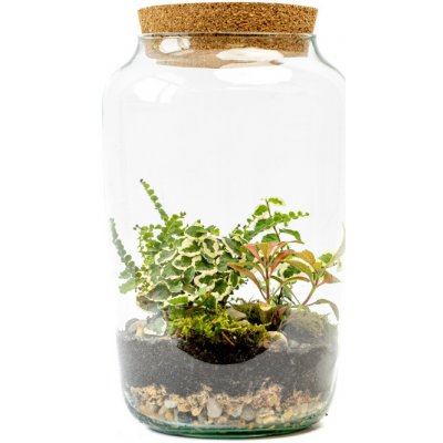 Gardners Skleněná dóza Stipa s korkovým špuntem, 30x17 cm - osázené vlhkomilně – Hledejceny.cz