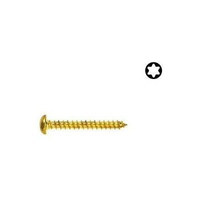 Uni Vrut 6x40 PH ZŽ Torx 10ks – Hledejceny.cz