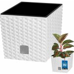 Prosperplast Květináč ratanový Rato low DRTS200L 6,8L bílý – Hledejceny.cz
