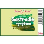 Bylinné kapky Gastrodie vyvýšená TCM Pavlovy tinktura 50 ml – Hledejceny.cz
