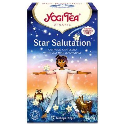 Yogi Tea Čaj Ginseng Tao se ženšenem 17 x 1,8 g – Hledejceny.cz