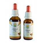 Salvia Paradise Kakaové boby AF tinktura 30 ml – Hledejceny.cz