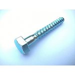 vrut šestihranný 10x 80 ZB (DIN 571) V6H10080zb – Hledejceny.cz